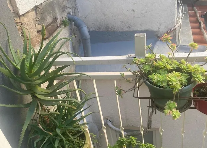 ダミラ ルームス